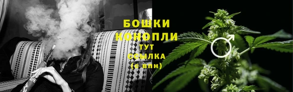 марки lsd Гусиноозёрск