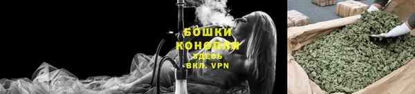 СК Гусев