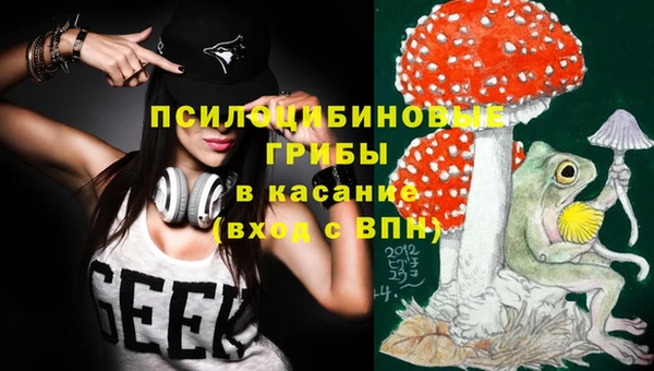 таблы Алексин