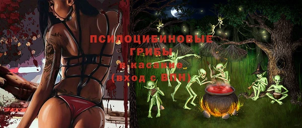 индика Алексеевка
