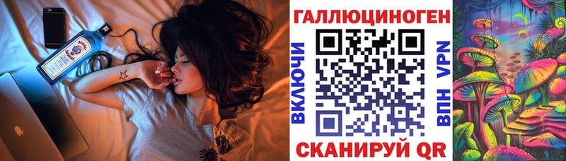 Галлюциногенные грибы Psilocybine cubensis  Пыталово 